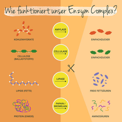 Enzīmu komplekss | Bromelaīns - Papaīns - Amilāze - Lipāze - Celulāze | Zarnās šķīstošās apvalkotās DRCaps® kapsulas | Dabīgie gremošanas enzīmi | Laboratorijā pārbaudīts | Bez piedevām | Vācu ražojums Vegavero®