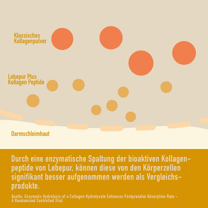Lebepur kolagēna pulveris 550g - bioaktīvs augstākās kvalitātes kolagēna hidrolizāts - 1. un 3. tipa peptīdi - bez hormoniem un antibiotikām - ļoti labi šķīstošs un bezgaršīgs