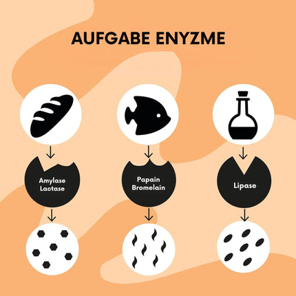 fairment EffektivEnzyme - augstākās kvalitātes enzīmu komplekss ar bromelaīnu, Sango jūras koraļļiem, laktāzi, papaīnu | Vegāniski enzīmi | 1x 90 kapsulas