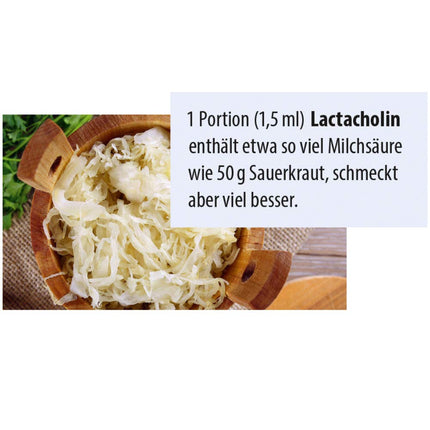 Dr. Jacob's Lactacholin 100 ml I vielmaiņai, aknu un nervu darbībai¹ I augļu saldums I ar holīnu I bez cukura I 66 porcijas