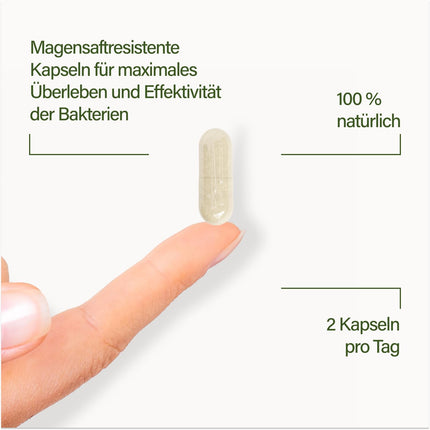 Nupure® Probaflor MAX SPECTRUM N95 600 miljardi KVV/g 95 baktēriju celmi, lielākais baktēriju celmu spektrs, ar laktobacilām, inulīnu un bifidobaktērijām, 95 miljardi KVV, zarnās šķīstošs apvalks, 46 kapsulas