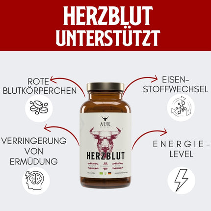 HERZBLUT (90 kapsulas) - spēcīga sinerģija sportistiem no Beefheart &amp; Beefliver; enerģijas iegūšanai; Veiktspēja; asins veidošanās; dzelzs vielmaiņa; 100% vācu, dabīgs un bioloģisks