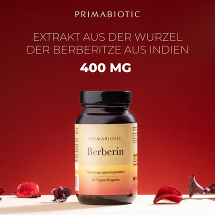 Primabiotic BERBERINE 400MG - 60 vegānas kapsulas | Berberis Vulgaris ekstrakts | Dabisks atbalsts vielmaiņai un aknu veselībai | Maksimālā absorbcija | Aknu gremošana, zarnu darbība