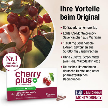 ASV Montmorency skābo ķiršu kapsulas – augsta skābo ķiršu ekstrakta deva – 55 000 mg dienā – Cherry PLUS