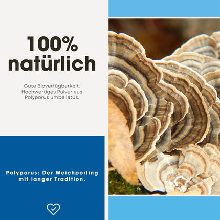 Fair &amp; Pure® - Polyporus 650mg - 120 kapsulas - Polyporus umbellatus - vegāns - bez magnija stearāta