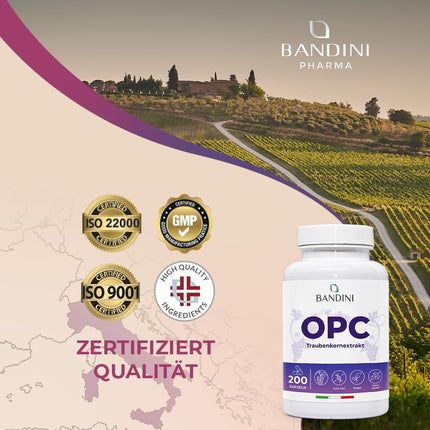 Bandini® vīnogu kauliņu ekstrakts 200 kapsulas 3 mēnešiem | Augsta OPC koncentrācija ar 95% katrā kapsulā | Augstākais saturs saskaņā ar HPLC | No Itālijas vīnogām | 1052 mg ekstrakta ar 999,4 mg OPC + 24 mg C vitamīna