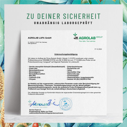 NATURTREU® hialuronskābes kapsulas ar 500 mg augstas devas hialuronskābes ar alveju, biotīnu un C vitamīnu - 90 kapsulas ādai* un locītavām** - dabīgas un vegānas