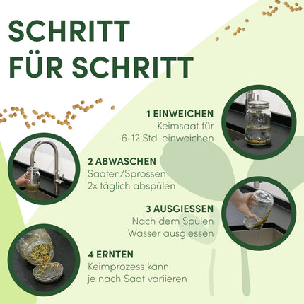 Green SEEDS dīgšanas burciņa, 2 gab. komplekts, 1000 ml, ar augstas kvalitātes nerūsējošā tērauda sieta vāku, statīvu + BEZMAKSAS dīgšanas ABC [Drukātas versijas]