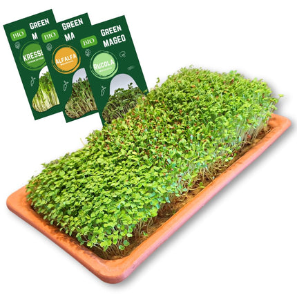 Green Mageo Family 31 cm kressalātu audzēšanas komplekts - audzēšanas paplāte ar kressalātu, lucernas un rukolas sēklu maksimālo iepakojumu, džutas audzēšanas paklājiņi, ideāli piemēroti kā mikrozaļumu audzēšanas komplekts