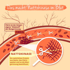 Nattokināzes kapsulas ar augstu devu | 20 000 FU/g | Pagatavots no natto – fermentētām sojas pupiņām | 180 gabali | Laboratorijā pārbaudīts | Vegāns - bez piedevām | Vācu ražojums Vegavero®