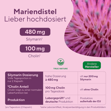 Piena dadža artišoku pienenes holīns – 180 kapsulas – 600 mg piena dadža ekstrakta (480 mg silimarīna) – Atbalsta aknas ar holīnu* – Ar augu rūgtvielām – Vegāns – TRUE NATURE®
