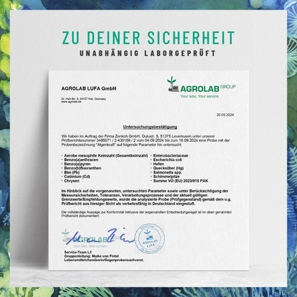 NATURTREU® Algenkraft - Vegānisks Omega 3 no aļģu eļļas – 1000 mg Omega 3 aļģu eļļas no ilgtspējīgām kultūrām – Mikroaļģu eļļa ar augstu DHA un EPA devu optimālā attiecībā – Laboratorijā pārbaudīts