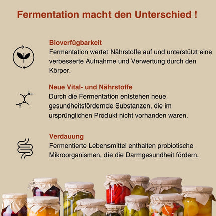 Fermentura® Vitabalance mikroelementu koncentrāts 750 ml sulas oriģināls ar 127 uzturvielām, vitamīniem, minerālvielām, tostarp 46 fermentētām dzīvībai svarīgām vielām | Vegāns, 1 mēneša krājums