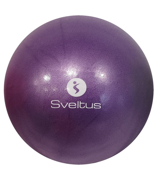 Sveltus izglītojošā bumba, violeta, 25 cm