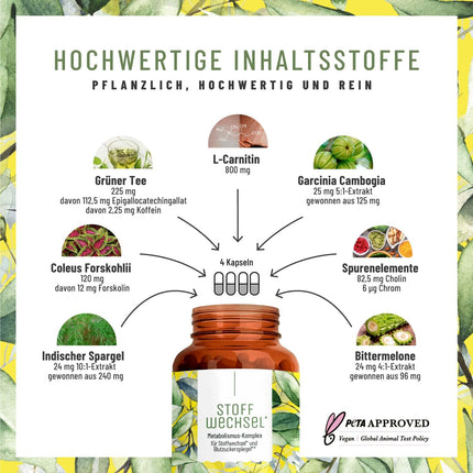 Metabolisma kapsulas diētas atbalstam - augsta deva ar zaļo tēju, forskohlii sēklām, holīnu, sparģeļiem, rūgto meloni, garcinia cambogia un hromu - 120 metabolisma kapsulas vegānas no NATURTREU®