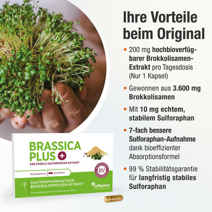 Brokoļu asnu ekstrakta kapsulas | augstākā deva | 280 000 mg brokoļu | 99% stabilizēts sulforafāns | 3600 mg brokoļu asnu vienā kapsulā | Par 60% lielāka biopieejamība | Brassica PLUS