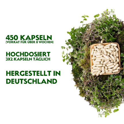 RheinNatur organiskās psyllium sēnalu kapsulas - 450 lielas devas kapsulas (3000 mg vienā porcijā) - ražotas Vācijā - psyllium sēnalu šķiedrvielas - psyllium kapsulas - atbalsta gremošanu