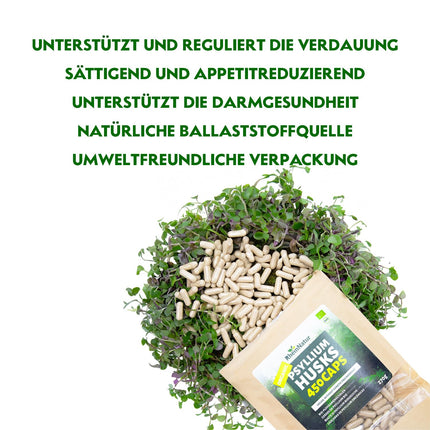 RheinNatur organiskās psyllium sēnalu kapsulas - 450 lielas devas kapsulas (3000 mg vienā porcijā) - ražotas Vācijā - psyllium sēnalu šķiedrvielas - psyllium kapsulas - atbalsta gremošanu