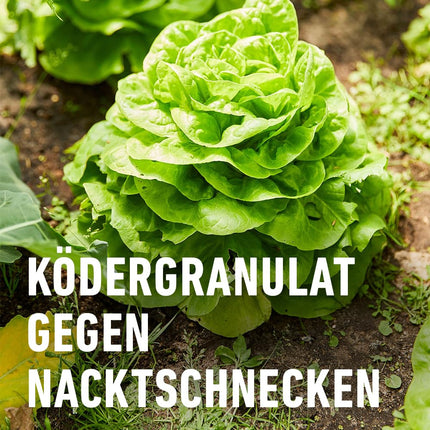 COMPO gliemežu atbaidīšanas līdzeklis - pret gliemežiem - lietus necaurlaidīgs - granulas pret gliemežiem izdevīgā iepakojumā - pietiekams līdz 1800 m² - 4 x 225 g, bez gliemežiem