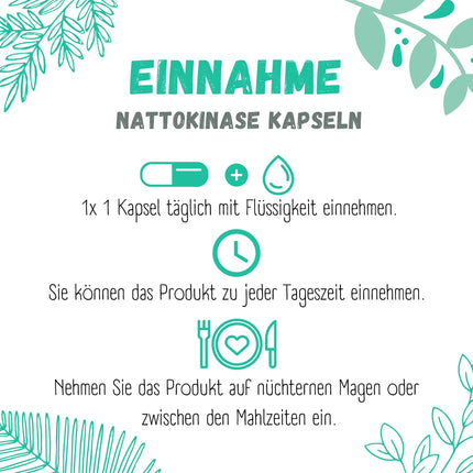 Nattokināze 100mg vienā kapsulā 20 000 FU | vegāns | bez K1 un K2 vitamīna | bez mikrokristāliskās celulozes un magnija stearāta | 120 kapsulas