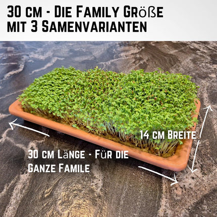 Green Mageo Family 31 cm kressalātu audzēšanas komplekts - audzēšanas paplāte ar kressalātu, lucernas un rukolas sēklu maksimālo iepakojumu, džutas audzēšanas paklājiņi, ideāli piemēroti kā mikrozaļumu audzēšanas komplekts