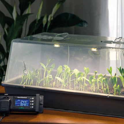 Romberg Maximus komplektā LED | Siltumnīca ar ventilāciju | LED apgaismojums | Apsildes paklājiņš | Termostats un 77 pietūkuma tabletes | 59 x 39 x 27 cm