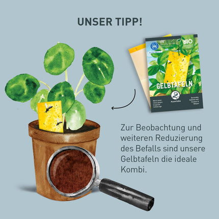 Plantura Organic melnās sēnes knišļu nesaturošs nīms, ļoti efektīvs laistīšanas līdzeklis pret melnajām sēnes knišļiem, kas izgatavots no nīma, 75 ml uz apm. 30 augi