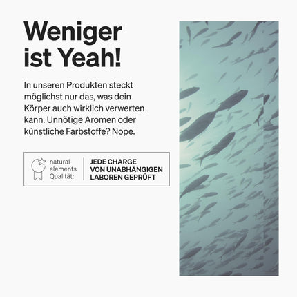 Vegānisks Omega 3 no aļģu eļļas - 90 kapsulas - Augsta deva ar augstas kvalitātes EPA un DHA (triglicerīdu formā) - Omega-3 vegāniem, laboratoriski pārbaudīts, ilgtspējīgs un dabiski ar zemu piesārņotāju saturu