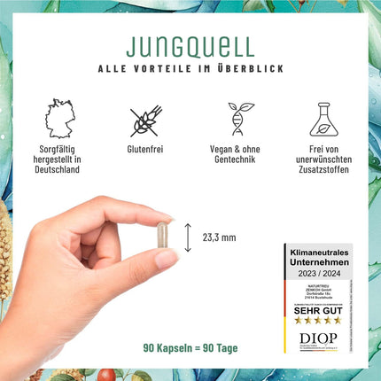 NATURTREU® hialuronskābes kapsulas ar 500 mg augstas devas hialuronskābes ar alveju, biotīnu un C vitamīnu - 90 kapsulas ādai* un locītavām** - dabīgas un vegānas