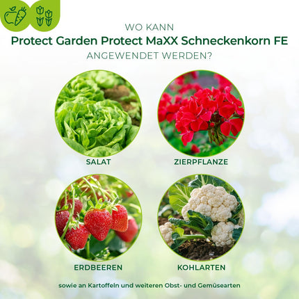 PROTECT GARDEN Protect MaXX gliemežu granulas FE, lietus izturīgas, uzticamas gliemežu apkarošanas granulas dārzeņiem, augļiem un dekoratīvajiem augiem, 1,2 kg salokāmā kastē līdz 315 m² platībai