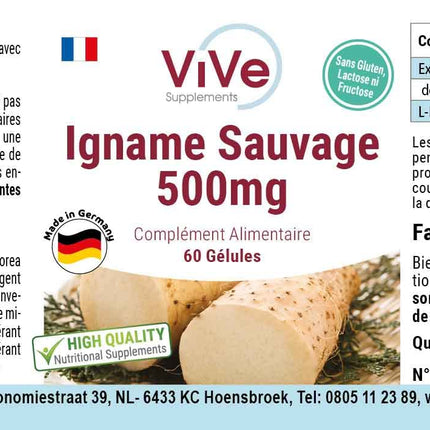 Savvaļas jama ekstrakts 500 mg - 60 kapsulas Savvaļas jamss ar 20% diosgenīna - augsta deva un vegāns - Dioscorea villosa | Kvalitāte no Vācijas, ko nodrošina ViVe Supplements
