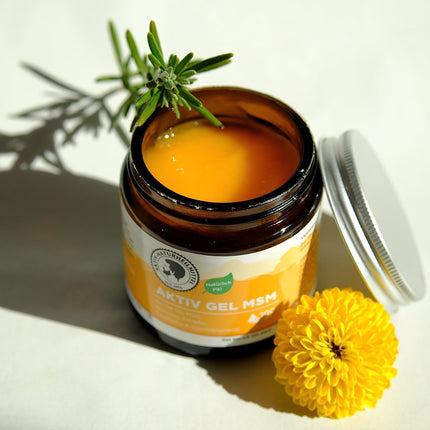 Active Natural Remedies ActiveGel MSM krēms/ziede 100ml ar 15% MSM un sildošu efektu | 99,9% tīrība, augsta kvalitāte un no Vācijas