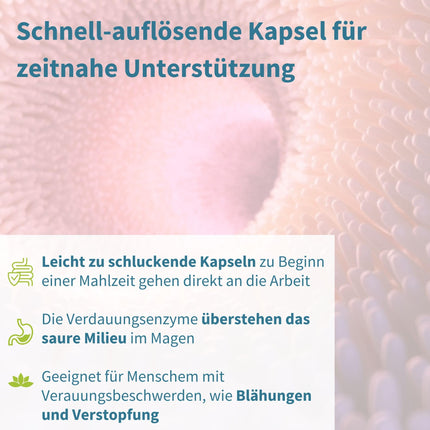 Gremošanas enzīmu komplekss ar betaīna hidrohlorīdu un bromelaīnu, 10 vegāniski enzīmi ar papaīnu un lipāzi, visaptverošs gremošanas atbalsts, hipoalerģisks, 90 kapsulas, no Igennus