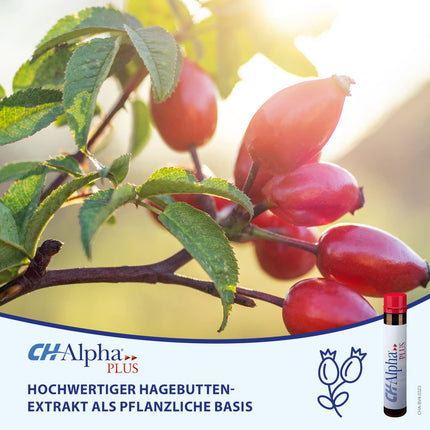 CH-Alpha PLUS locītavu kolagēns | Lai atbalstītu locītavu skrimšļu atjaunošanos | Locītavu sāpju mazināšana | 30 dzeršanas ampulas