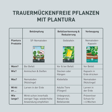 Plantura SF nematodes pret sēnīšu knišļiem, laistīšanai, ļoti efektīvi un organiski, derīgie kukaiņi no Vācijas, 1 miljons uz 1 m²/apm. 10 augi