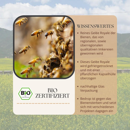 bedrop peru pieniņa kapsulas, bioloģiskās kvalitātes, 60 kapsulas - 1 kapsula = 980 mg tīra peru pieniņa, 10-HDA saturs &lt;4,8% - peru pieniņš, kas bagāts ar polifenoliem un flavonoīdiem