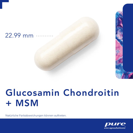 Pure Encapsulations - glikozamīns, hondroitīns + MSM - augsta deva ar organisko sēru - 60 kapsulas