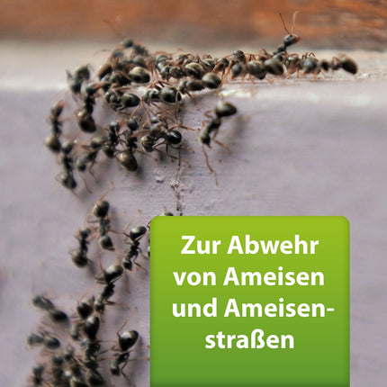 ARDAP Repell Ant Spray 400ml - Skudru aerosols lietošanai ārā un pret skudrām mājās - Skudru līdzeklis - Skudru aerosols akūtas skudru invāzijas gadījumā - Iedarbojas ātri un efektīvi (PT19)