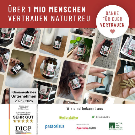 Dzelzs komplekss ar C vitamīnu un fenheli vegāns - 120 kapsulas - vegānas dzelzs tabletes kapsulu veidā, vieglāk norijamas - bez piedevām, laboratoriski pārbaudītas