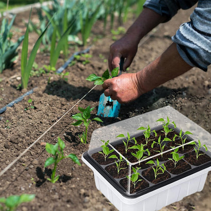 GAESHOW 12 iepakojumu iekštelpu siltumnīcas pavairotājs, 144 režģu mini siltumnīcas pavairošanas komplekts ar paceltu vāku, atkārtoti lietojama pavairošanas plāksne, siltumnīcas pavairošanas paplātes stādiem