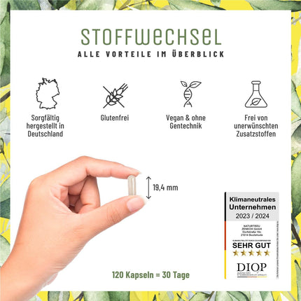 Metabolisma kapsulas diētas atbalstam - augsta deva ar zaļo tēju, forskohlii sēklām, holīnu, sparģeļiem, rūgto meloni, garcinia cambogia un hromu - 120 metabolisma kapsulas vegānas no NATURTREU®