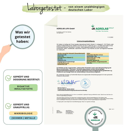 Glikozamīna hondroitīna komplekss Vegavero® | 100% vegāns | Ar MSM, fitodroitīnu®, velna naglu, C vitamīnu, cinku | Locītavām un kauliem* | 180 kapsulas | Bez piedevām | Vācu produkcija