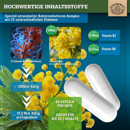 FLORA INTENSO® probiotiķu komplekss 100 miljardi CFU/g - Laboratorijā pārbaudīti 23 baktēriju celmi bez inulīna - Zarnās šķīstošās baktērijas ar laktobacilām + bifidobaktērijām - DE-SCHEUNENGUT®