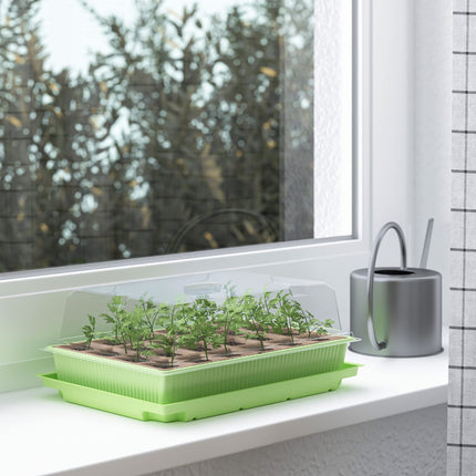 WELLGRO mini siltumnīca 24 augiem - apm. 27x19x10 cm (GxPxA) uz vienu iekštelpu siltumnīcu, zaļa/caurspīdīga, plastmasa/celuloze - daudzumu var izvēlēties, daudzums: 2 gab.