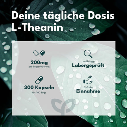 SOLVISAN L-teanīna kapsulas — SVARĪGI: Pētījuma deva 200 mg dienā — 200 kapsulas — Bez piedevām
