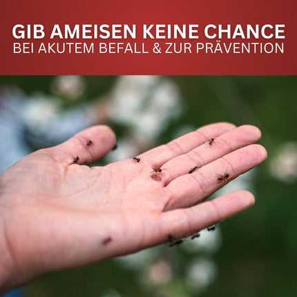 BIODELTA skudru aerosols - pretskudru līdzeklis skudru apkarošanai mājās un dārzā - apkaro skudras - pret visu veidu skudrām - ilgstoša iedarbība, bez smaržas un traipiem (500 ml)