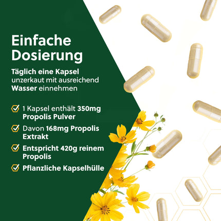 beegut ORGANISKĀ propolisa kapsulas, 60 kapsulas augu izcelsmes kapsulas apvalkā ar ORGANISKĀ propolisa ekstraktu, ilgtspējīgs iepakojums
