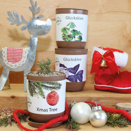 Feel Green Eco-can, Lucky Clover, ilgtspējīga dāvanu ideja (100% videi draudzīga), Izaudzē pats/Audzēšanas komplekts, Audzēšanas eko-can, Ražots Austrijā