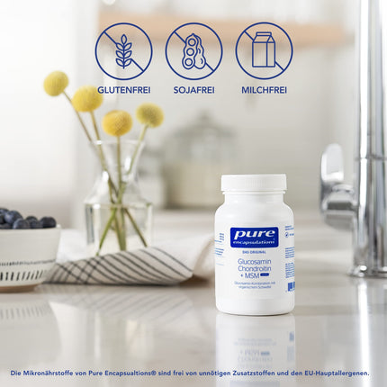 Pure Encapsulations - glikozamīns, hondroitīns + MSM - augsta deva ar organisko sēru - 60 kapsulas