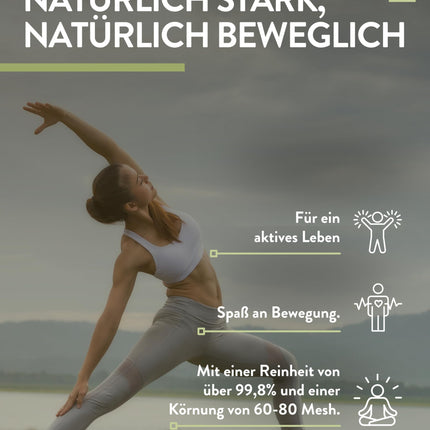 PlusVive MSM tabletes ar augstu devu | 1 x 365 tabletes | 1000 mg MSM ar 99,8% tīrību vienā tabletē | MSM kapsulas ar papaīnu un spirulīnu | Uztura bagātinātājs vegāns un laboratoriski pārbaudīts